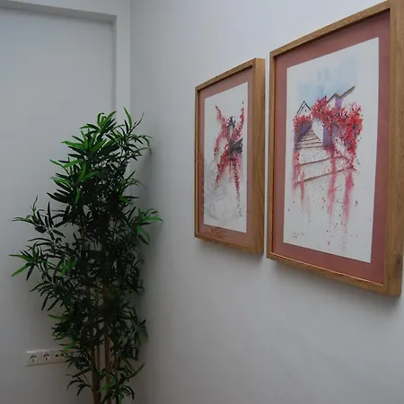 Nuevo Piso En El Centro De Appartement